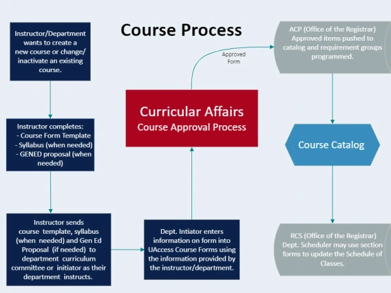 Course Process horizontal